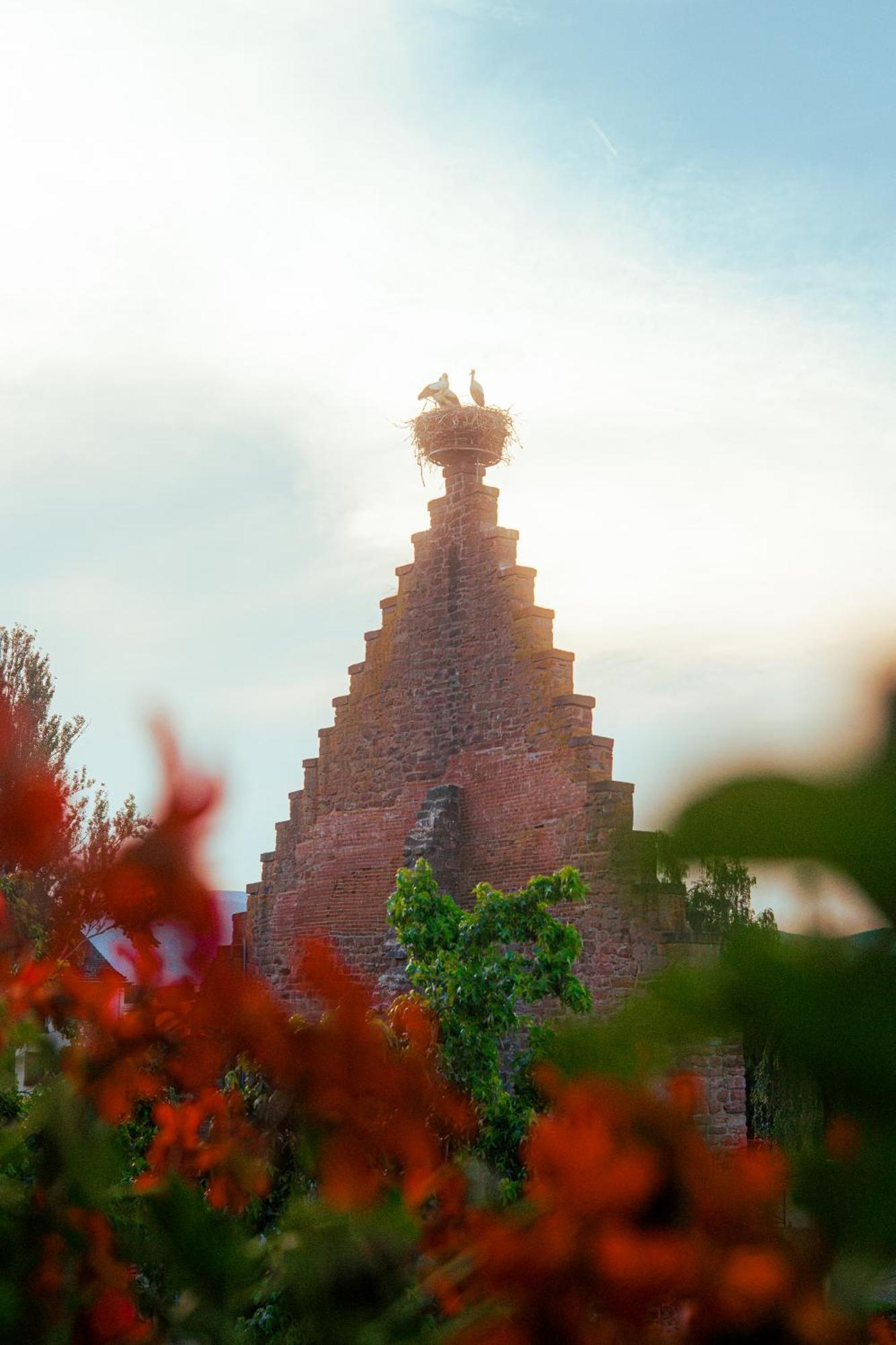 Hotel Au Nid De Cigognes Ostheim Luaran gambar